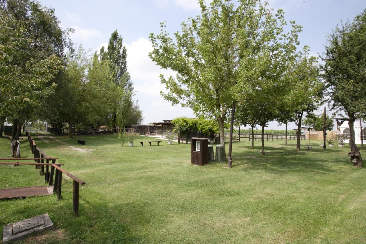 Agriturismo Casa Carpanelli 노난톨라 외부 사진