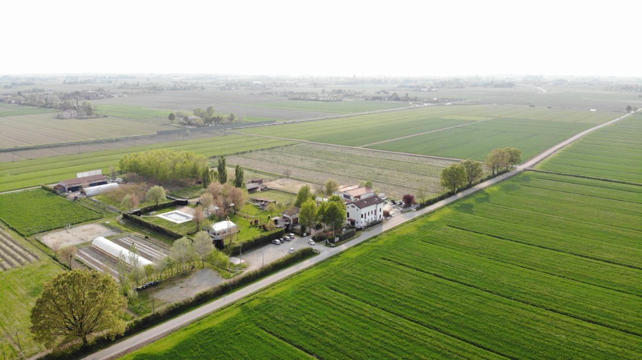 Agriturismo Casa Carpanelli 노난톨라 외부 사진