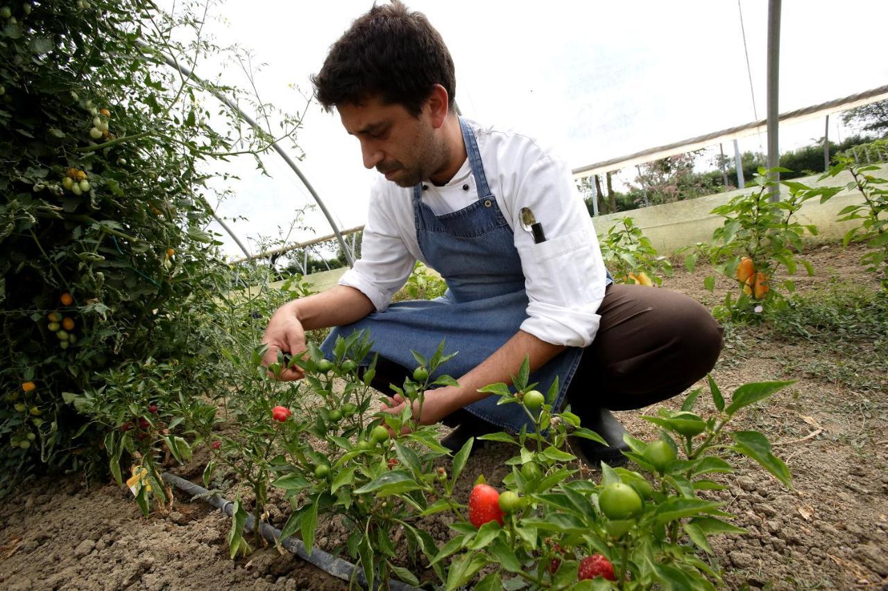 Agriturismo Casa Carpanelli 노난톨라 외부 사진