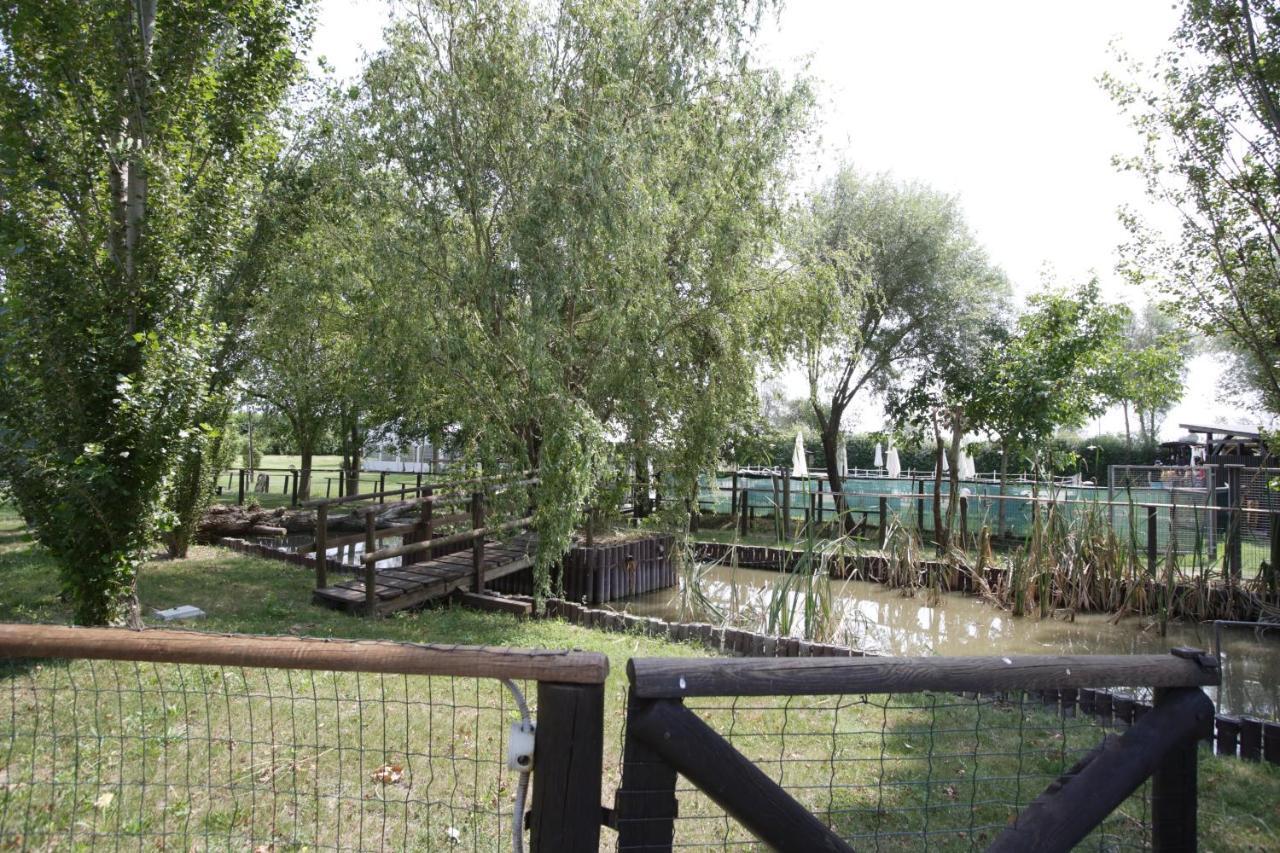 Agriturismo Casa Carpanelli 노난톨라 외부 사진